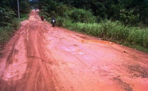 Akses Jalan Desa Tanjung Laut Kecamatan Suak Tapeh. 