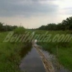 LAHAN YANG DISENGKETAKAN