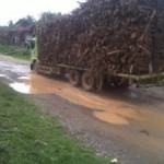 Talang-Ubi-