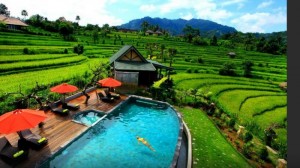 villa-bali-sawah-sidemen_20141125_151247