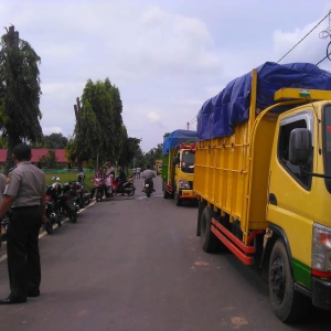 ditilang